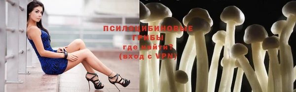 a pvp Нефтекумск