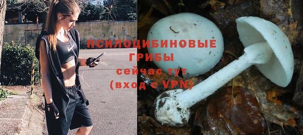 хмурый Наволоки