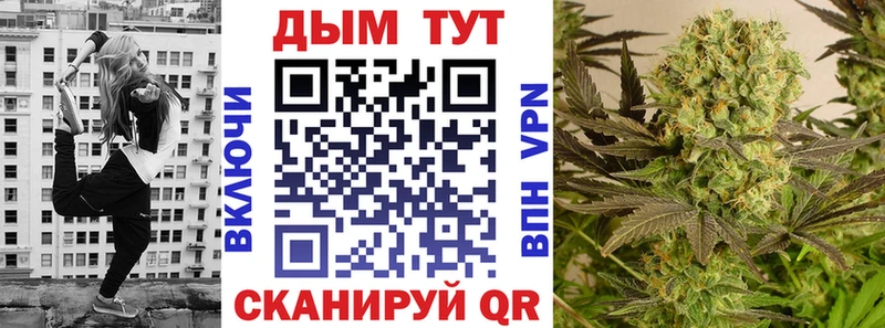 где можно купить наркотик  Кириллов  Бошки марихуана конопля 